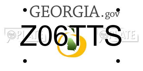 Z06TTS Georgia License Plate