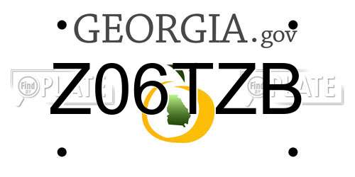 Z06TZB Georgia License Plate