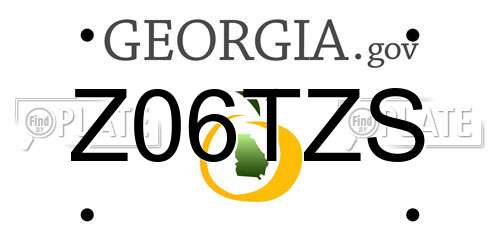 Z06TZS Georgia License Plate
