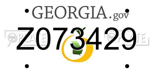 Z073429 Georgia License Plate