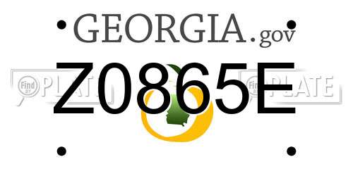 Z0865E Georgia License Plate