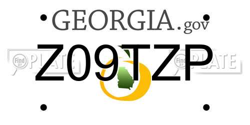 Z09TZP Georgia License Plate