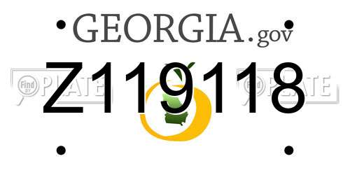 Z119118 Georgia License Plate