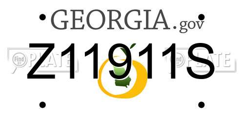 Z11911S Georgia License Plate