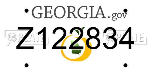 Z122834 Georgia License Plate