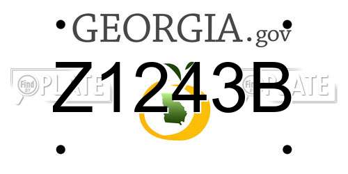 Z1243B Georgia License Plate