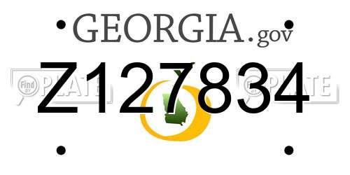Z127834 Georgia License Plate