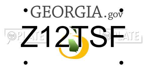 Z12TSF Georgia License Plate