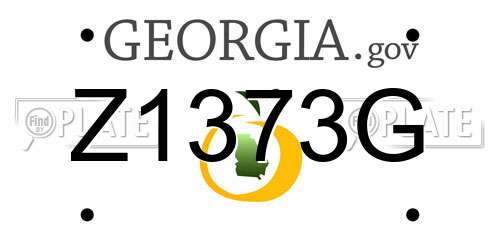 Z1373G Georgia License Plate