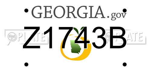 Z1743B Georgia License Plate