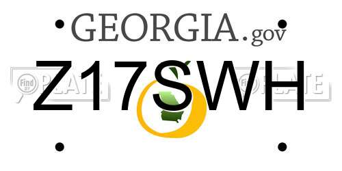 Z17SWH Georgia License Plate