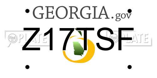 Z17TSF Georgia License Plate