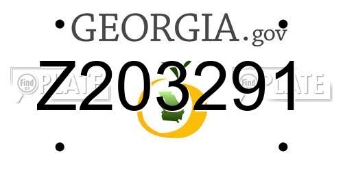 Z203291 Georgia License Plate