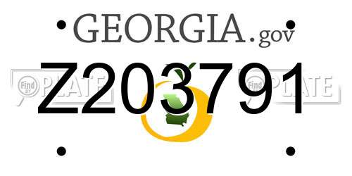 Z203791 Georgia License Plate