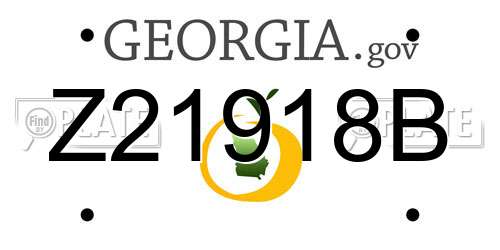 Z21918B Georgia License Plate