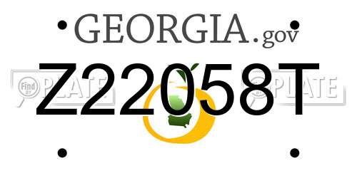 Z22058T Georgia License Plate