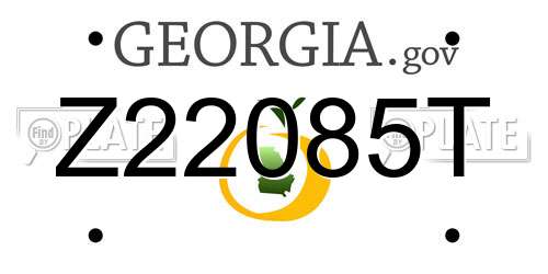 Z22085T Georgia License Plate