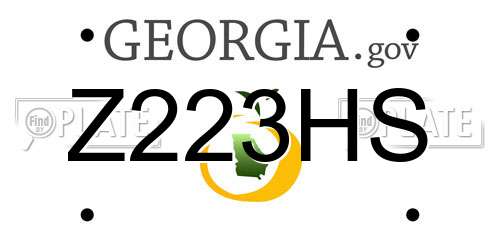 Z223HS Georgia License Plate