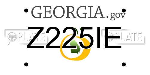 Z225IE Georgia License Plate