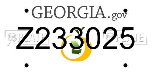 Z233025 Georgia License Plate