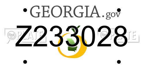 Z233028 Georgia License Plate