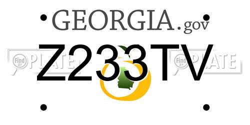 Z233TV Georgia License Plate