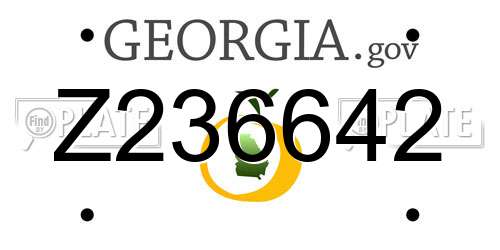 Z236642 Georgia License Plate