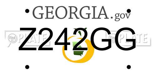 Z242GG Georgia License Plate