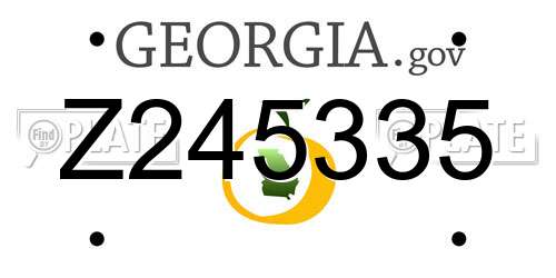 Z245335 Georgia License Plate