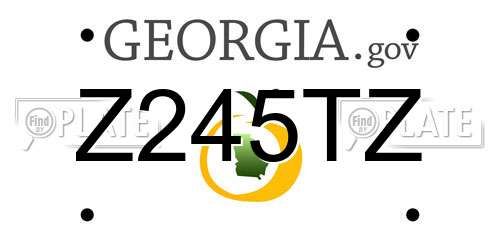 Z245TZ Georgia License Plate