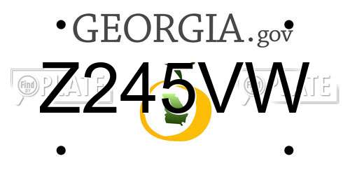 Z245VW Georgia License Plate