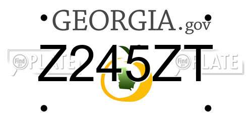 Z245ZT Georgia License Plate