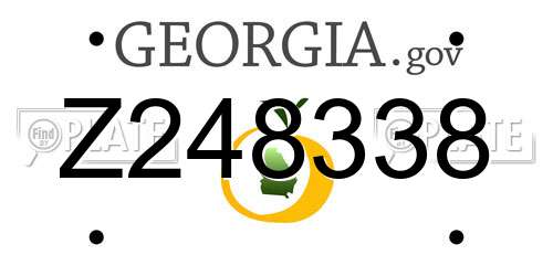 Z248338 Georgia License Plate