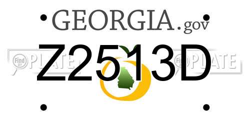 Z2513D Georgia License Plate