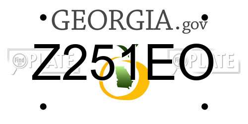 Z251EO Georgia License Plate
