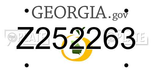 Z252263 Georgia License Plate