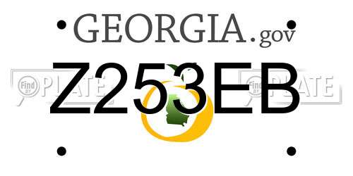 Z253EB Georgia License Plate