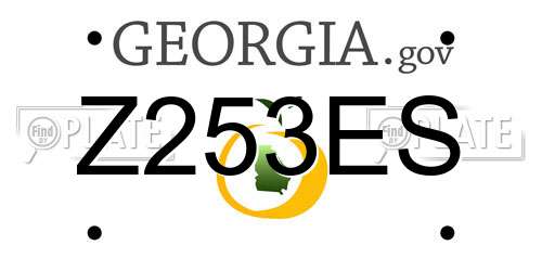 Z253ES Georgia License Plate
