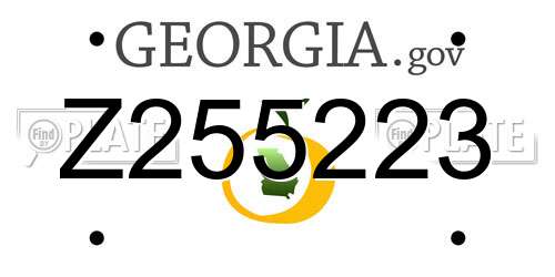 Z255223 Georgia License Plate
