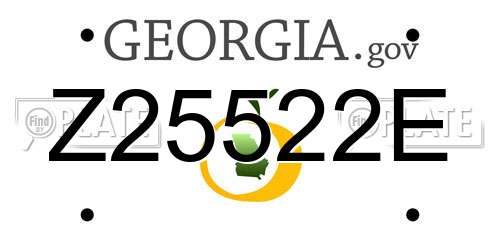 Z25522E Georgia License Plate