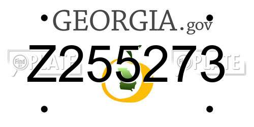 Z255273 Georgia License Plate