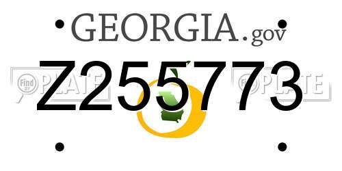 Z255773 Georgia License Plate