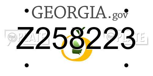 Z258223 Georgia License Plate