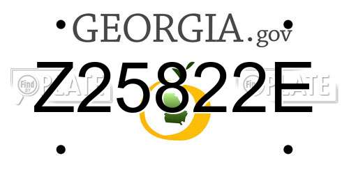 Z25822E Georgia License Plate