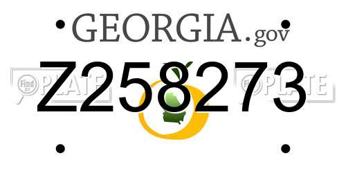 Z258273 Georgia License Plate