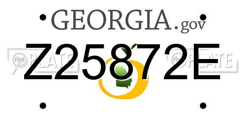 Z25872E Georgia License Plate