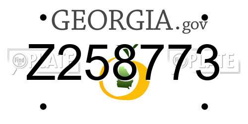 Z258773 Georgia License Plate