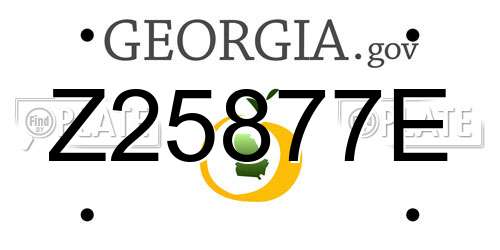Z25877E Georgia License Plate