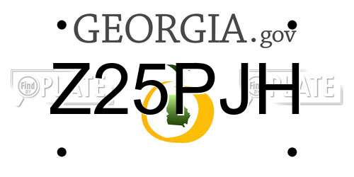 Z25PJH Georgia License Plate