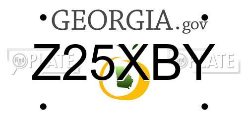Z25XBY Georgia License Plate